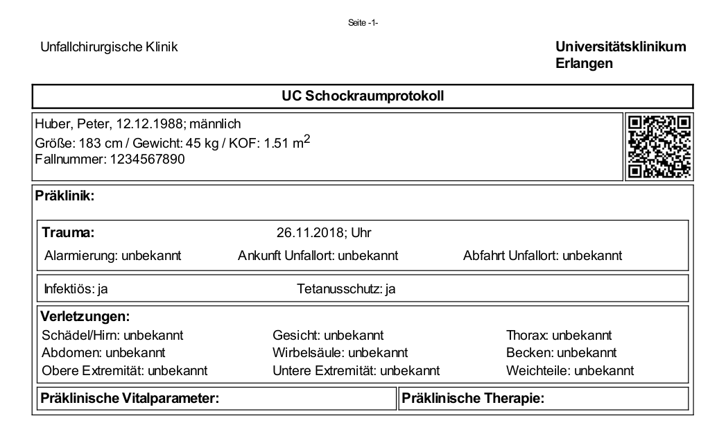 Automatisch erstelltes Protokoll (Testpatient)